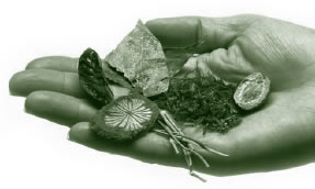 hand
